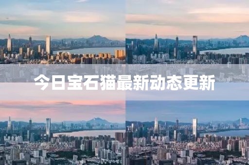 今日寶石貓最新動態(tài)更新