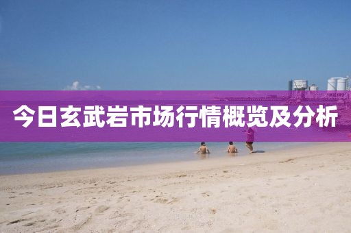 今日玄武巖市場行情概覽及分析