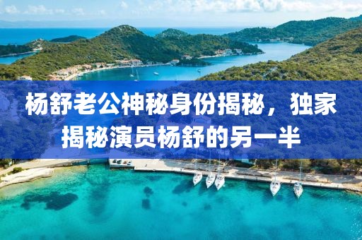 楊舒老公神秘身份揭秘，獨家揭秘演員楊舒的另一半