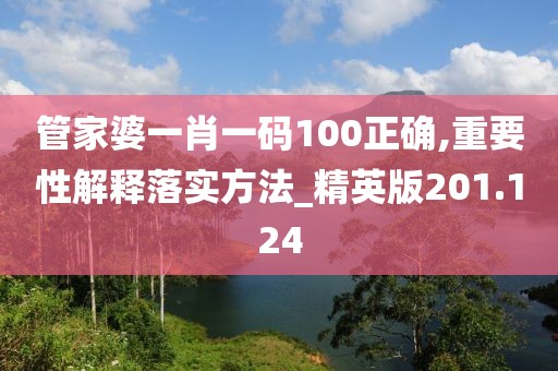 管家婆一肖一碼100正確,重要性解釋落實(shí)方法_精英版201.124