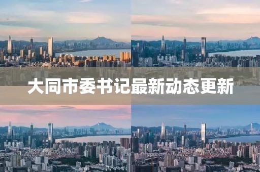 大同市委書記最新動態(tài)更新