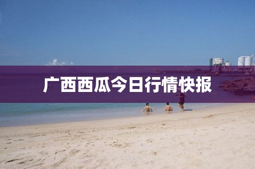 廣西西瓜今日行情快報(bào)