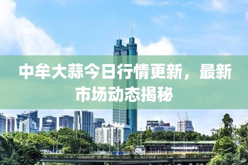 中牟大蒜今日行情更新，最新市場動態(tài)揭秘