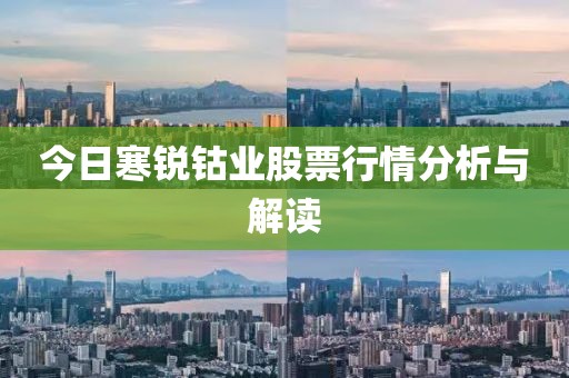 今日寒銳鈷業(yè)股票行情分析與解讀
