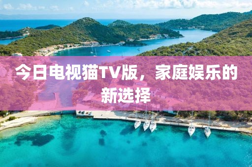 今日電視貓TV版，家庭娛樂的新選擇