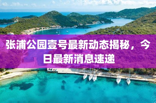 張浦公園壹號最新動態(tài)揭秘，今日最新消息速遞