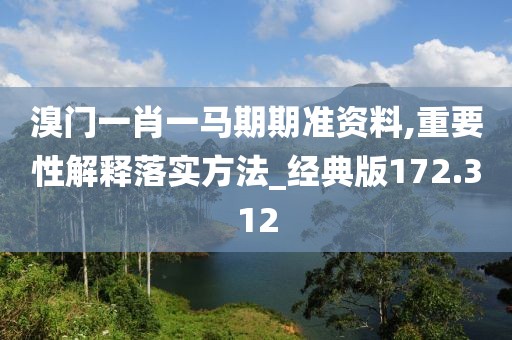 溴門一肖一馬期期準(zhǔn)資料,重要性解釋落實(shí)方法_經(jīng)典版172.312