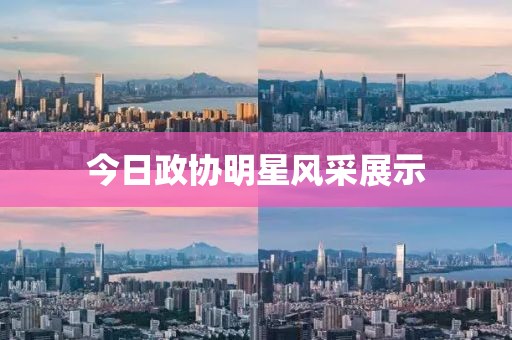 今日政協(xié)明星風采展示