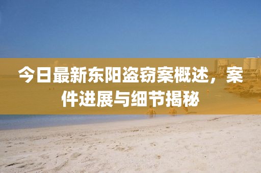 今日最新東陽盜竊案概述，案件進展與細節(jié)揭秘