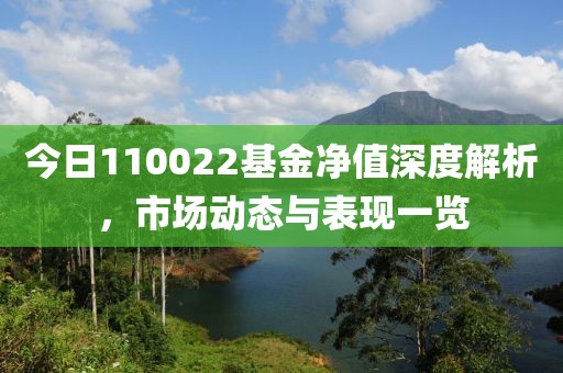 今日110022基金凈值深度解析，市場動態(tài)與表現(xiàn)一覽