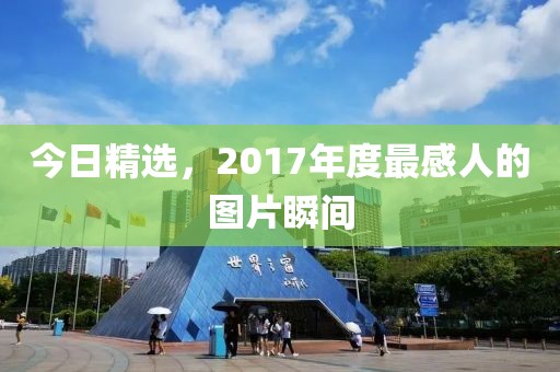 今日精選，2017年度最感人的圖片瞬間