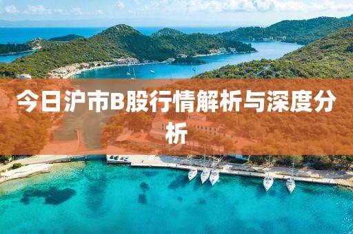 今日滬市B股行情解析與深度分析