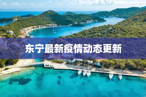 東寧最新疫情動(dòng)態(tài)更新