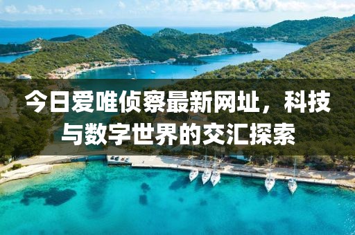 今日愛唯偵察最新網(wǎng)址，科技與數(shù)字世界的交匯探索
