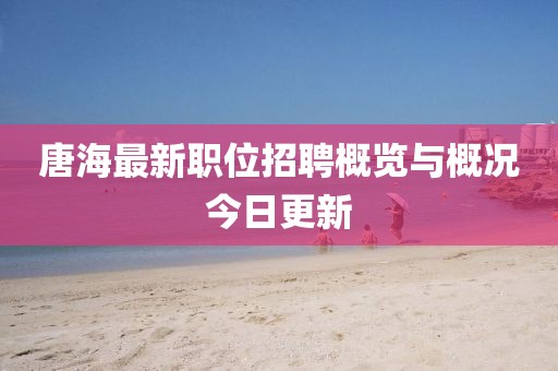 唐海最新職位招聘概覽與概況今日更新