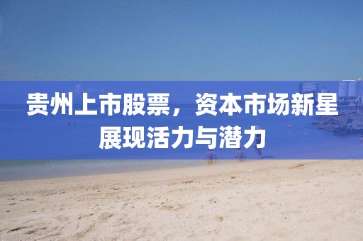 貴州上市股票，資本市場(chǎng)新星展現(xiàn)活力與潛力