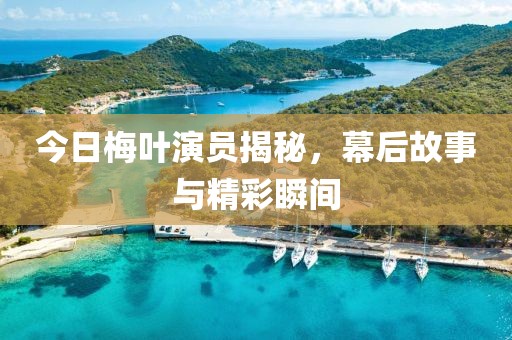 今日梅葉演員揭秘，幕后故事與精彩瞬間