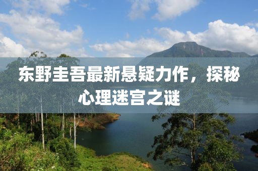 東野圭吾最新懸疑力作，探秘心理迷宮之謎