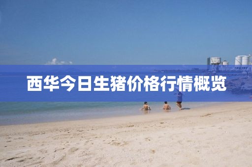 西華今日生豬價格行情概覽