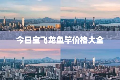 今日寶飛龍魚竿價格大全