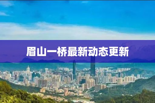 眉山一橋最新動(dòng)態(tài)更新