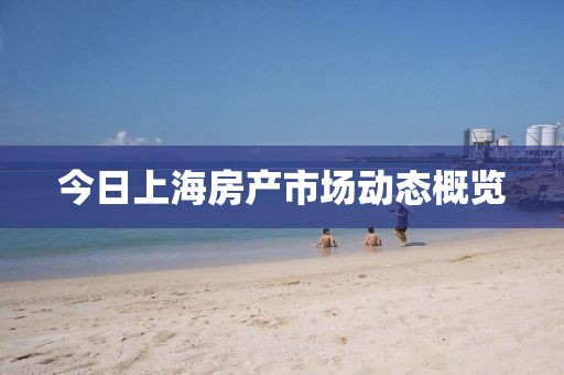 今日上海房產(chǎn)市場動態(tài)概覽