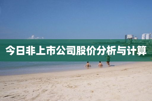 今日非上市公司股價分析與計算