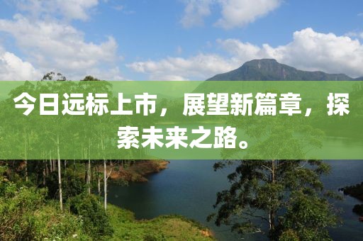 今日遠(yuǎn)標(biāo)上市，展望新篇章，探索未來之路。
