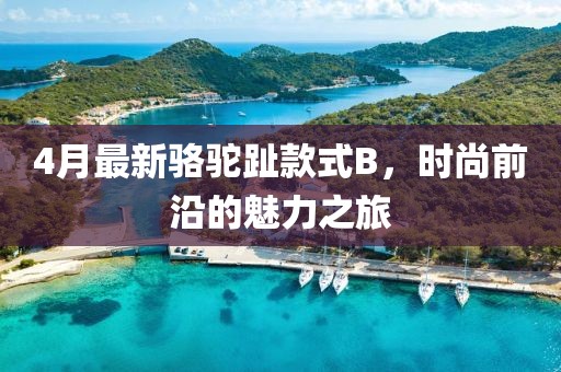 4月最新駱駝趾款式B，時(shí)尚前沿的魅力之旅