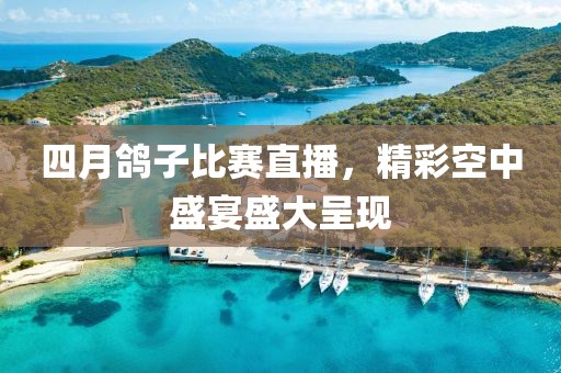 四月鴿子比賽直播，精彩空中盛宴盛大呈現(xiàn)