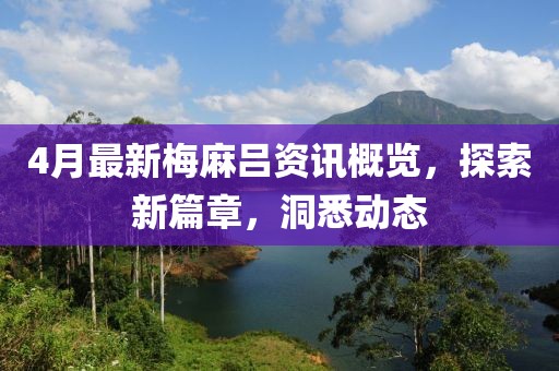 4月最新梅麻呂資訊概覽，探索新篇章，洞悉動態(tài)