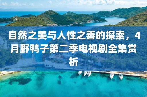 自然之美與人性之善的探索，4月野鴨子第二季電視劇全集賞析