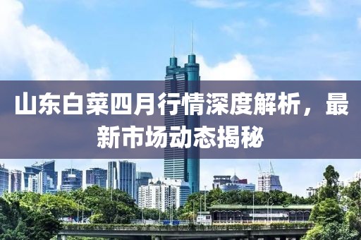 山東白菜四月行情深度解析，最新市場動態(tài)揭秘