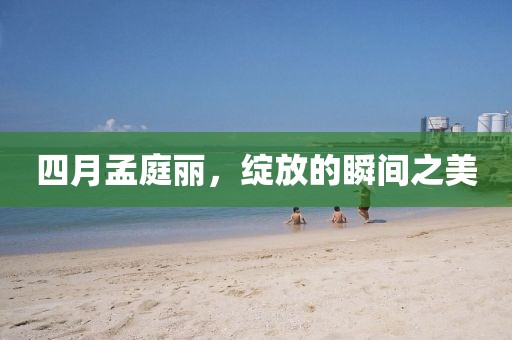 2025年4月 第36頁
