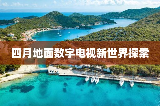 四月地面數(shù)字電視新世界探索
