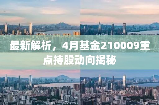最新解析，4月基金210009重點持股動向揭秘