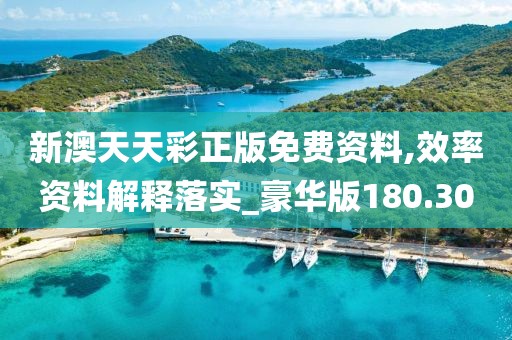 新澳天天彩正版免費資料,效率資料解釋落實_豪華版180.300