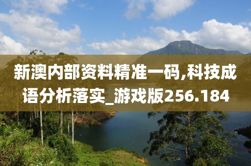 新澳內(nèi)部資料精準(zhǔn)一碼,科技成語分析落實(shí)_游戲版256.184