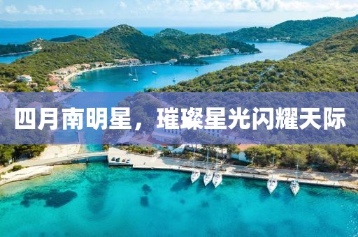 四月南明星，璀璨星光閃耀天際