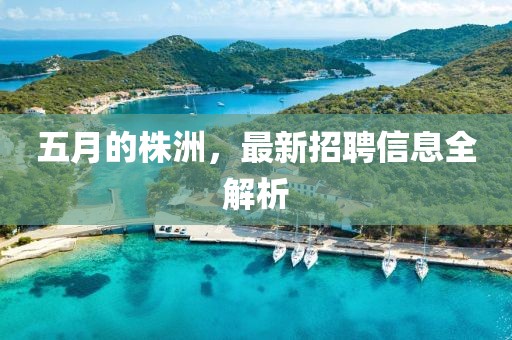 五月的株洲，最新招聘信息全解析