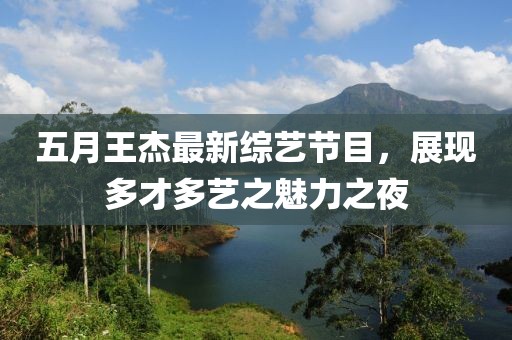 五月王杰最新綜藝節(jié)目，展現(xiàn)多才多藝之魅力之夜