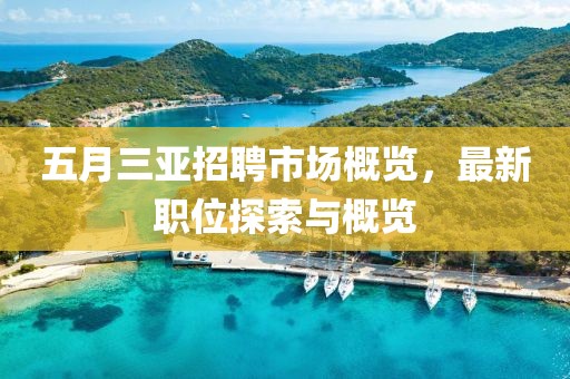 五月三亞招聘市場概覽，最新職位探索與概覽