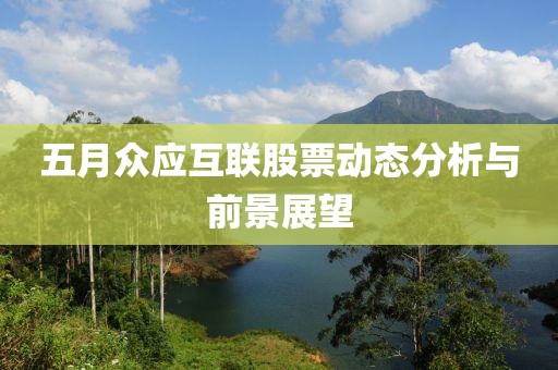 五月眾應互聯股票動態(tài)分析與前景展望