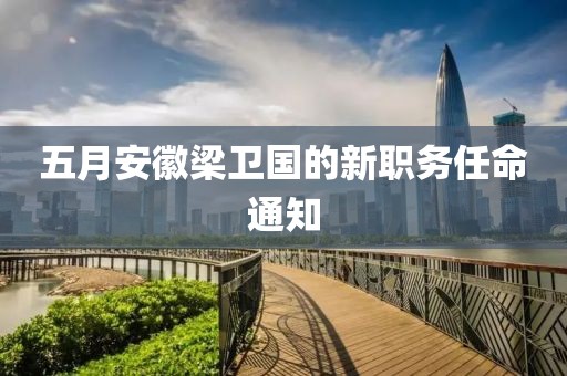 五月安徽梁衛(wèi)國的新職務任命通知