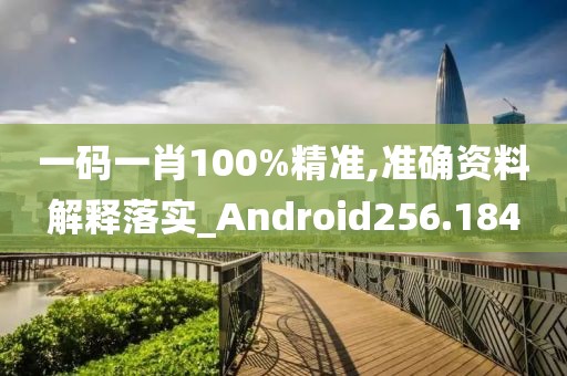 一碼一肖100%精準,準確資料解釋落實_Android256.184