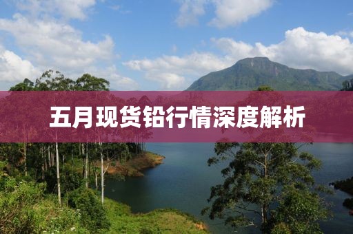 五月現(xiàn)貨鉛行情深度解析