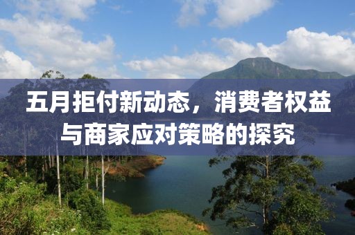 五月拒付新動(dòng)態(tài)，消費(fèi)者權(quán)益與商家應(yīng)對(duì)策略的探究