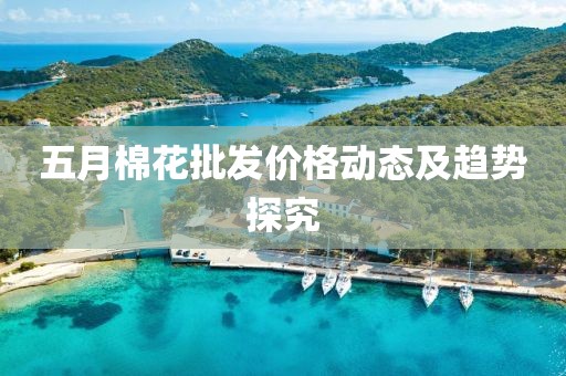 五月棉花批發(fā)價格動態(tài)及趨勢探究