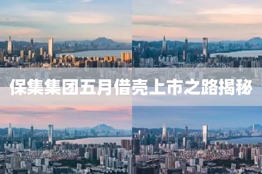 保集集團五月借殼上市之路揭秘