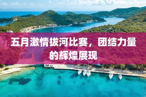 五月激情拔河比賽，團結(jié)力量的輝煌展現(xiàn)